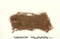 藏品(鏽色泥炭苔)的圖片